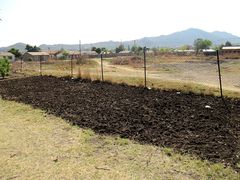 second food garden