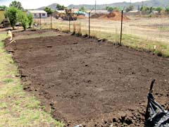 second food garden
